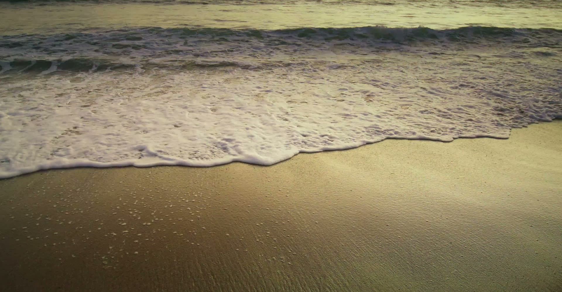 The Jamaican coast