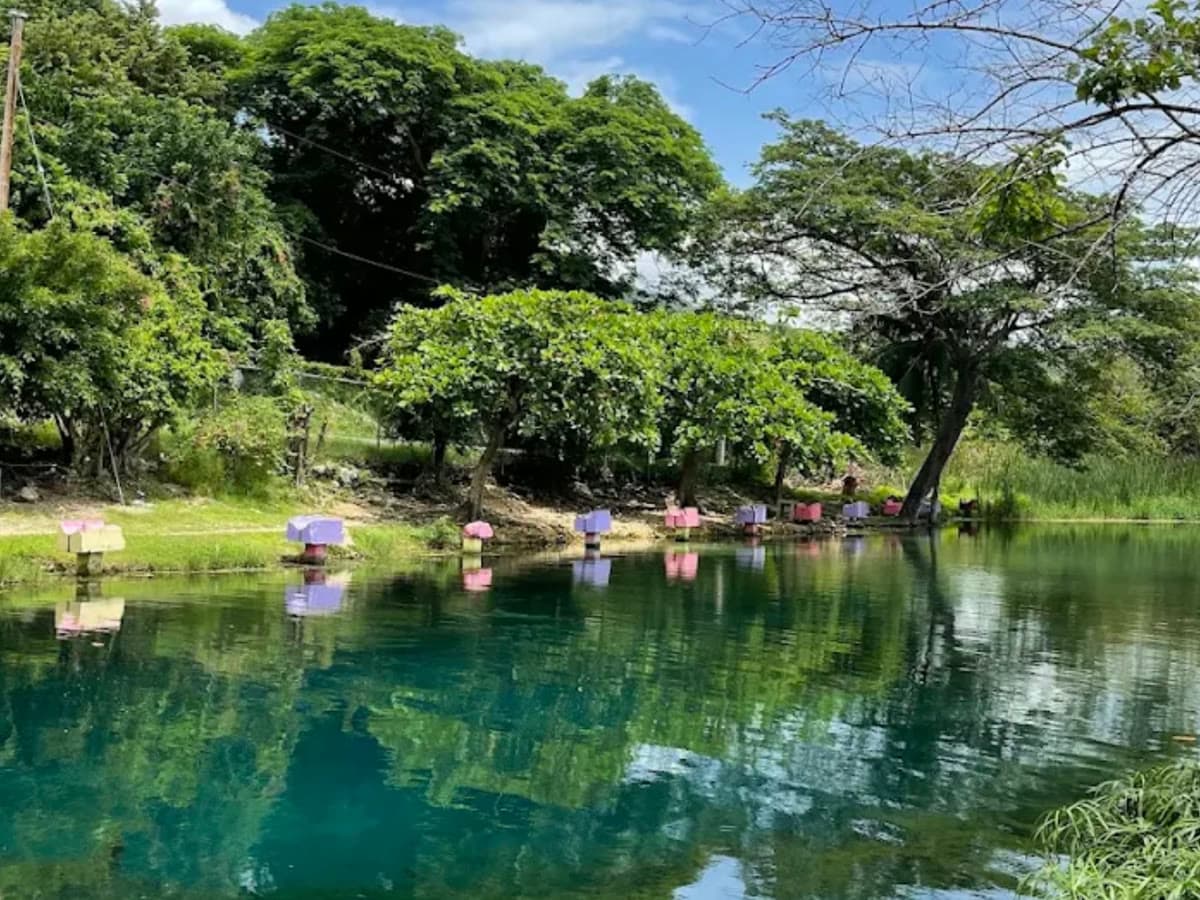 Caymanas Mineral Bath