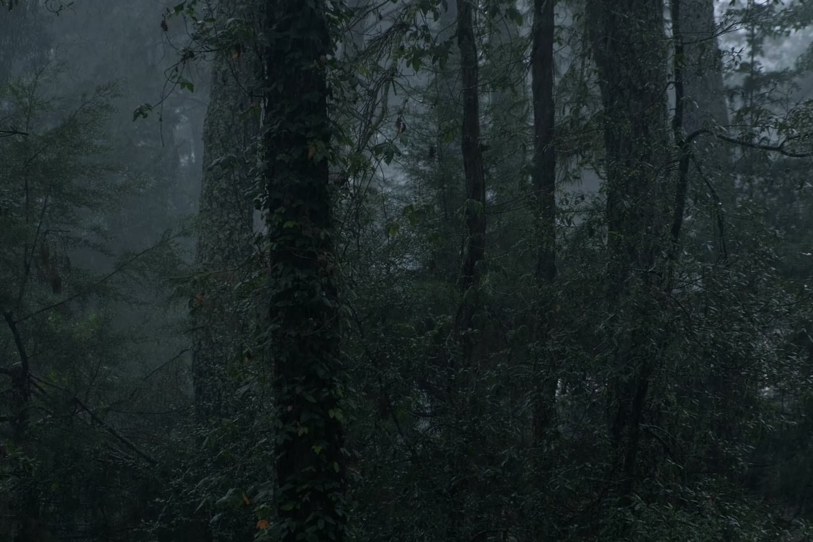 Quiet you can actually hear
