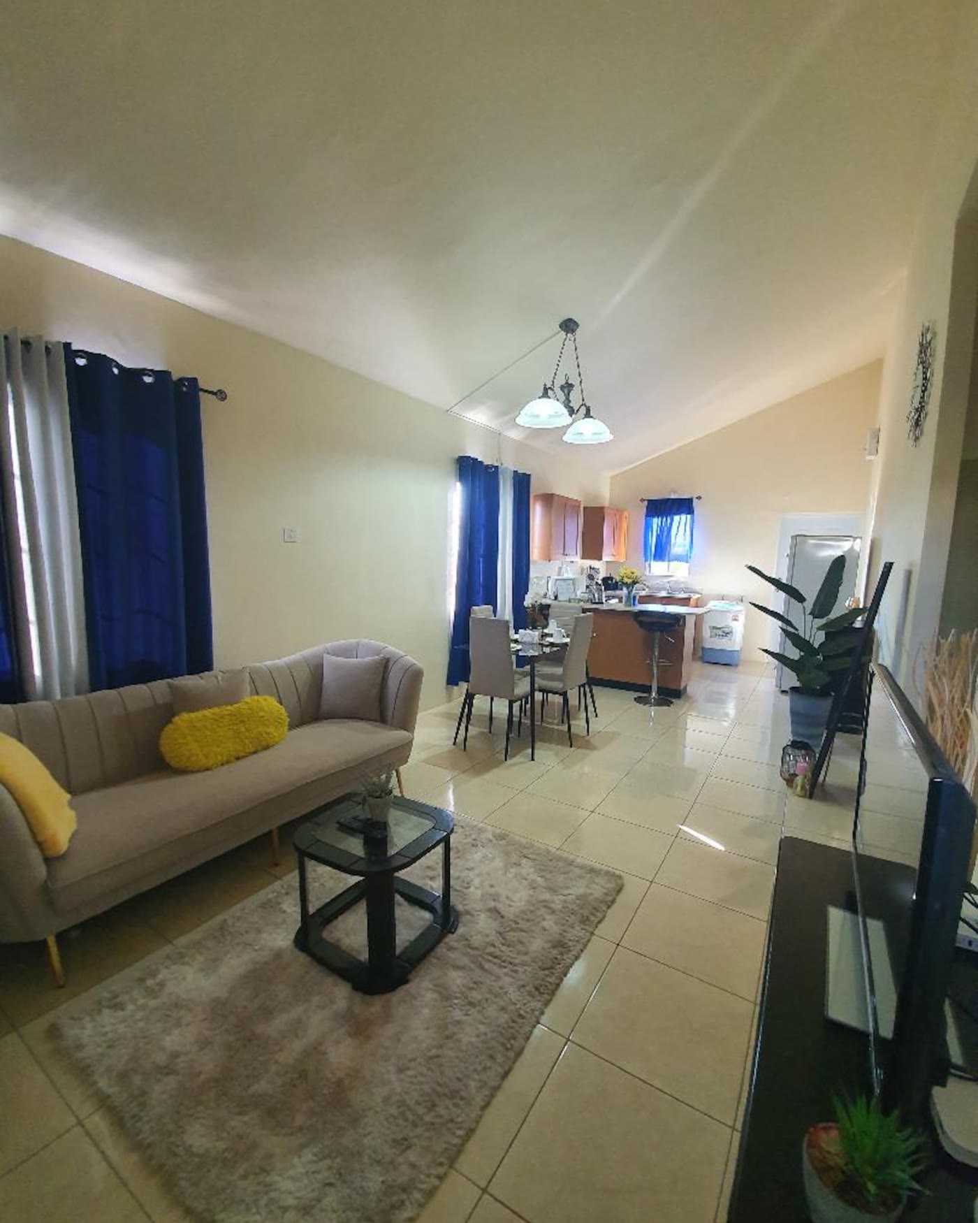 Phoenix Park — Living and dining, under the vaulted ceiling