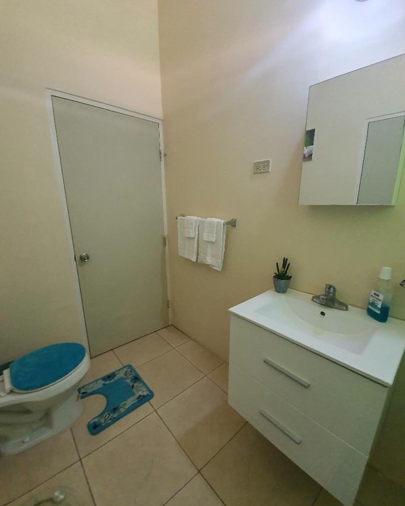 Phoenix Park — Bathroom