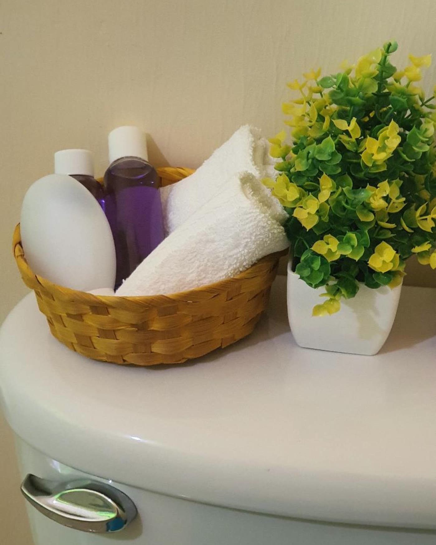 Phoenix Park — Fresh towels on arrival